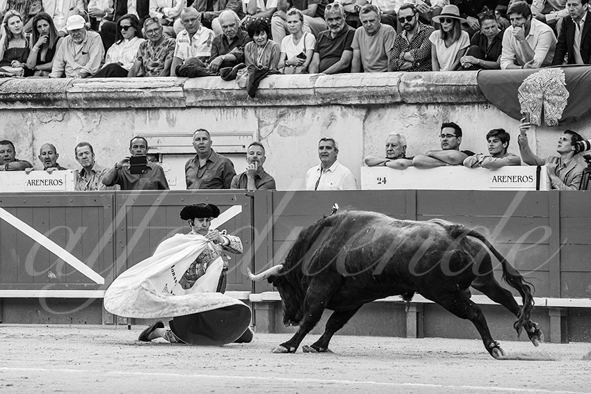 20250606 nimes 012 fd