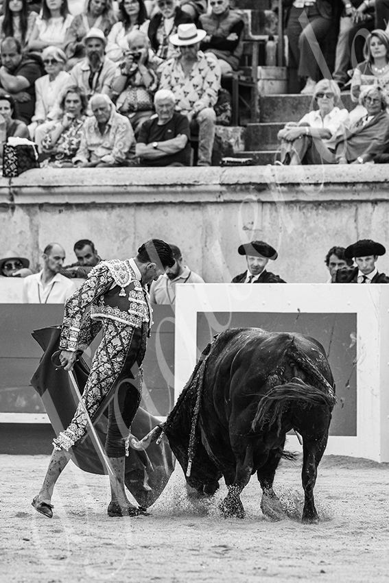 20250606 nimes 033 fd