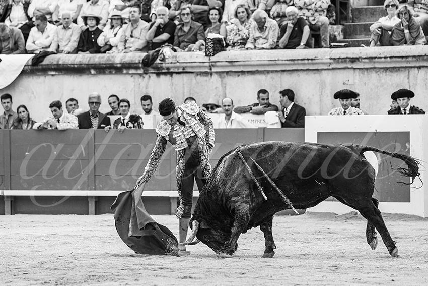 20250606 nimes 032 fd