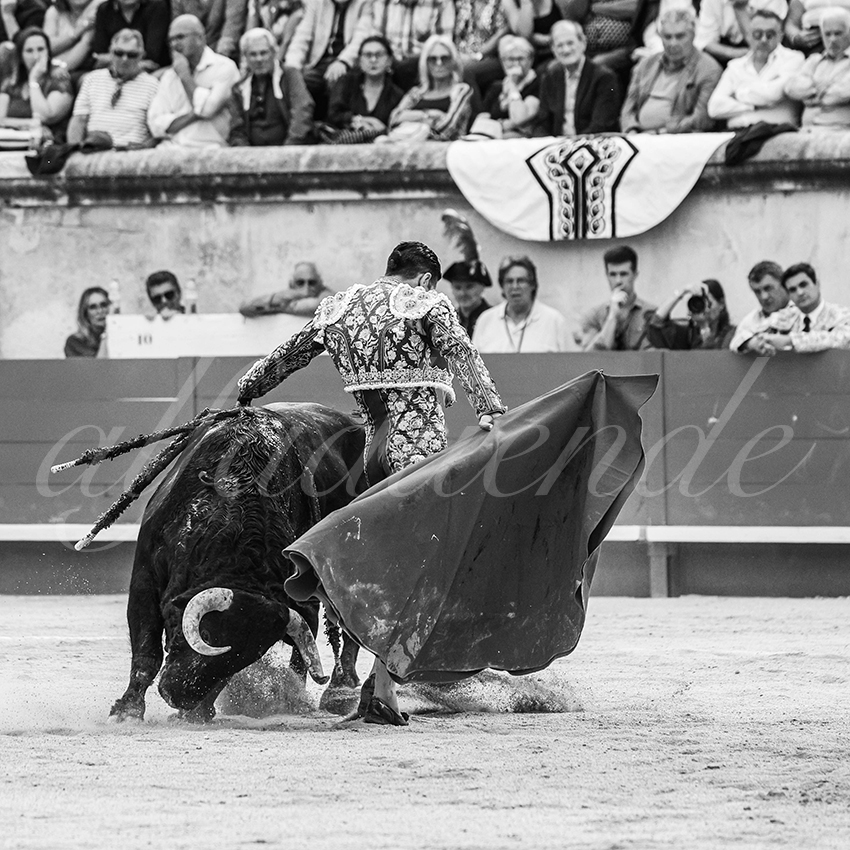 20250606 nimes 031 fd