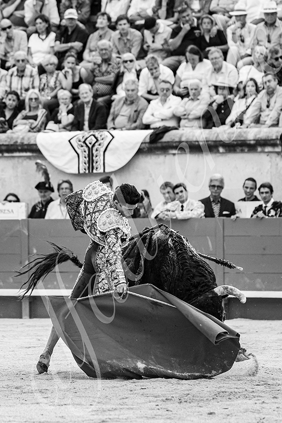 20250606 nimes 030 fd