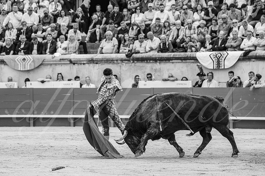 20250606 nimes 029 fd