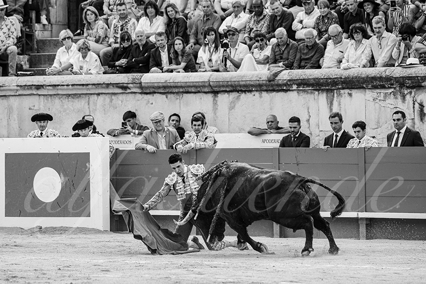 20250606 nimes 028 fd