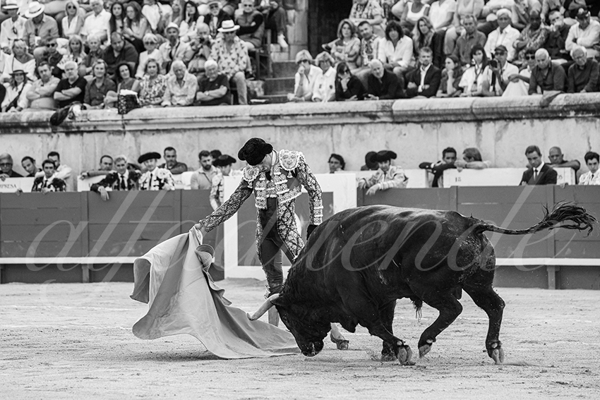 20250606 nimes 027 fd