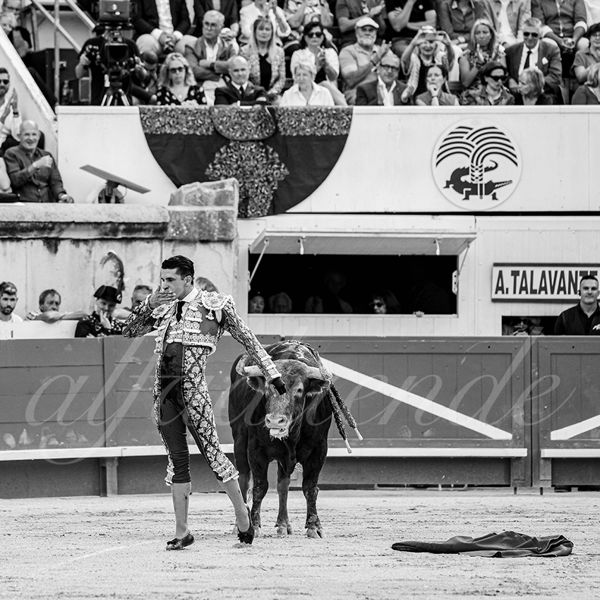 20250606 nimes 026 fd