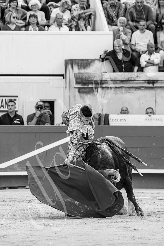 20250606 nimes 025 fd