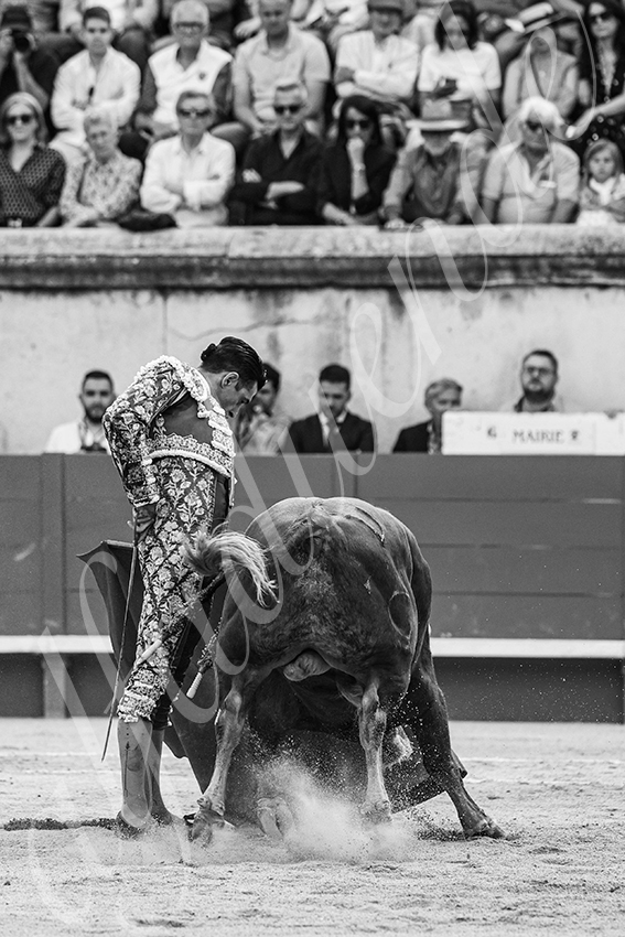 20250606 nimes 024 fd