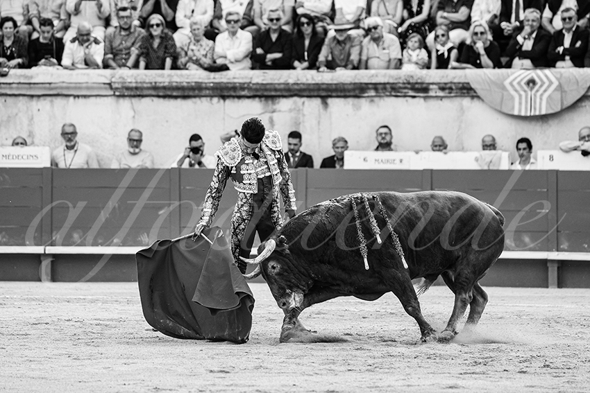 20250606 nimes 023 fd