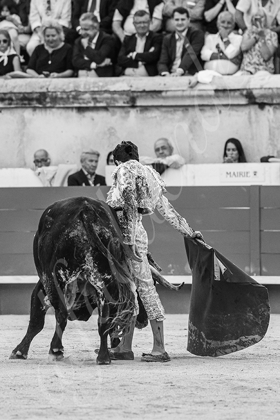 20250606 nimes 045 fd