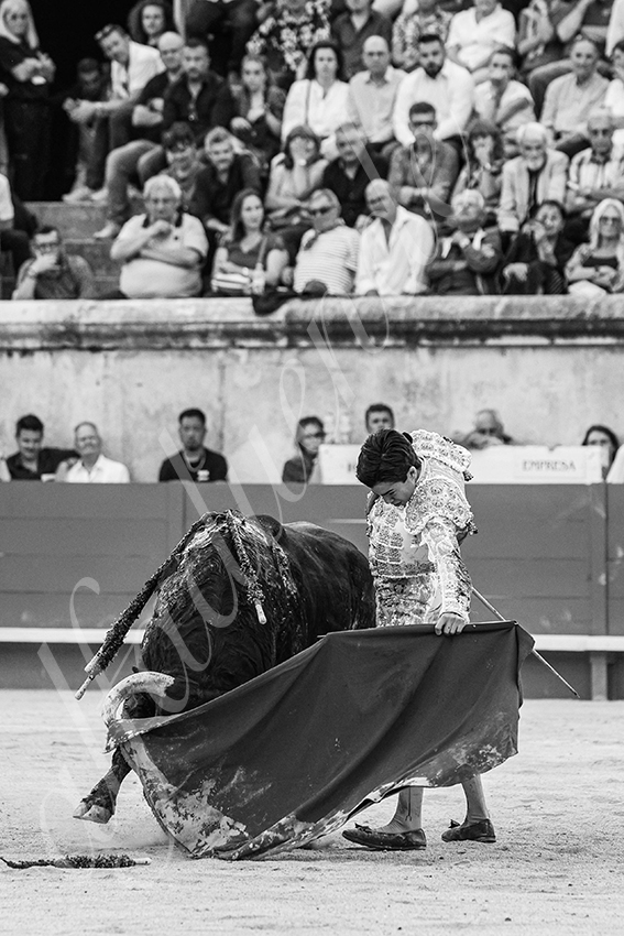 20250606 nimes 044 fd