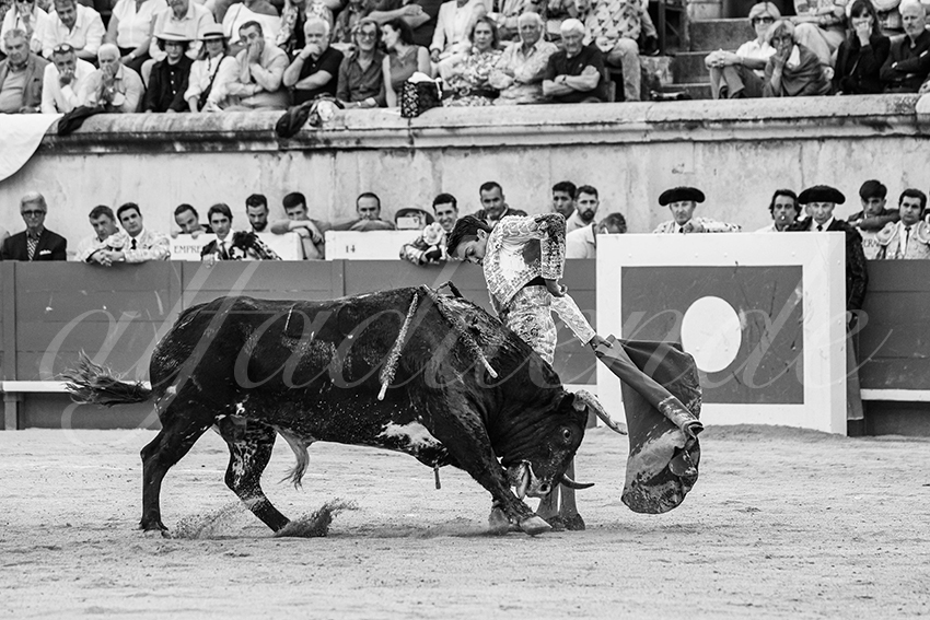 20250606 nimes 043 fd