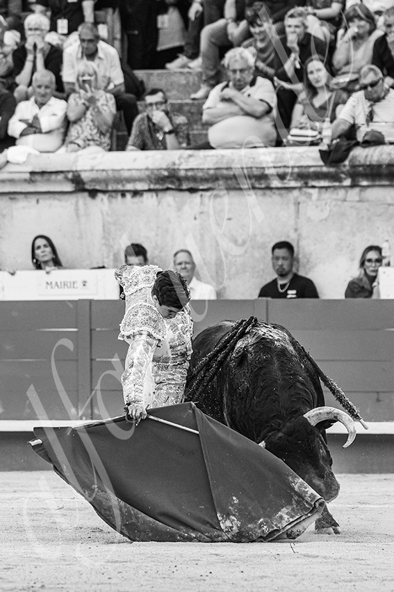 20250606 nimes 042 fd