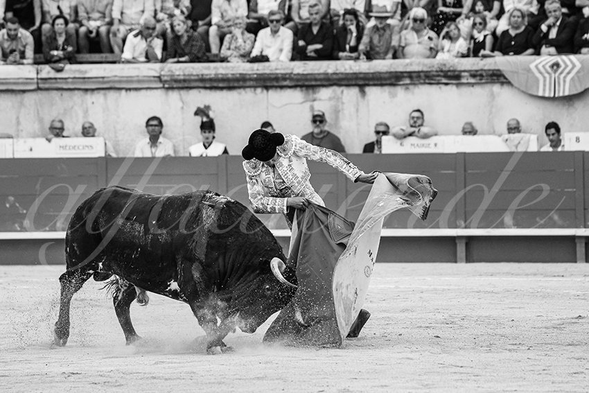 20250606 nimes 040 fd