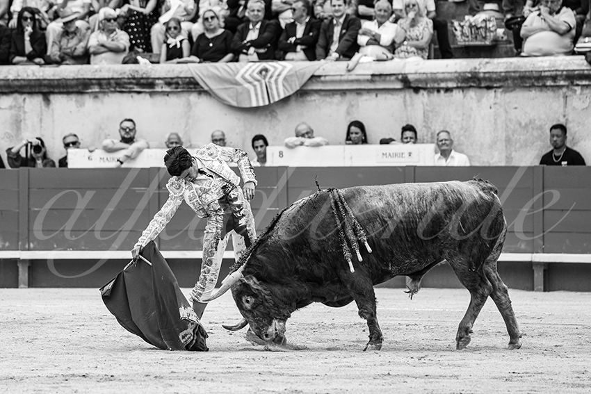 20250606 nimes 039 fd