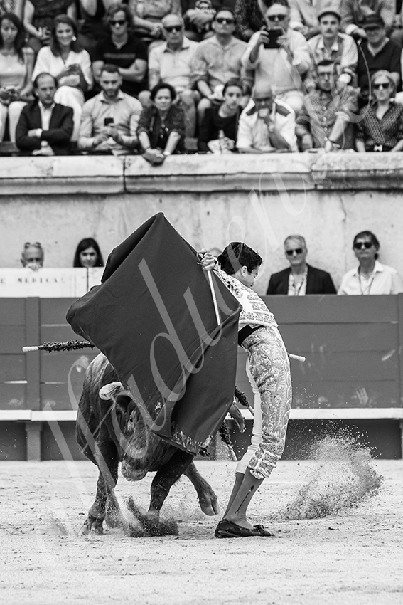 20250606 nimes 038 fd