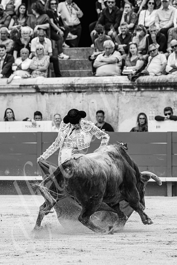 20250606 nimes 037 fd