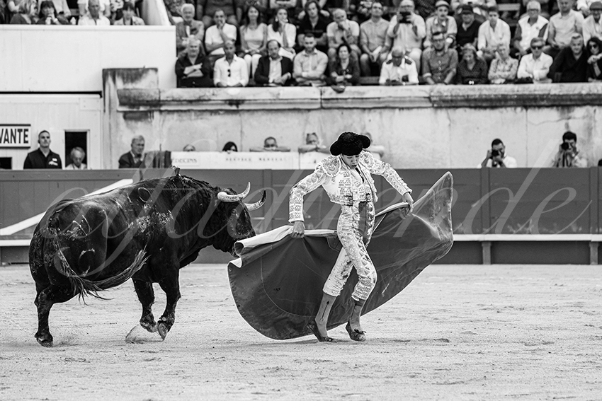 20250606 nimes 036 fd