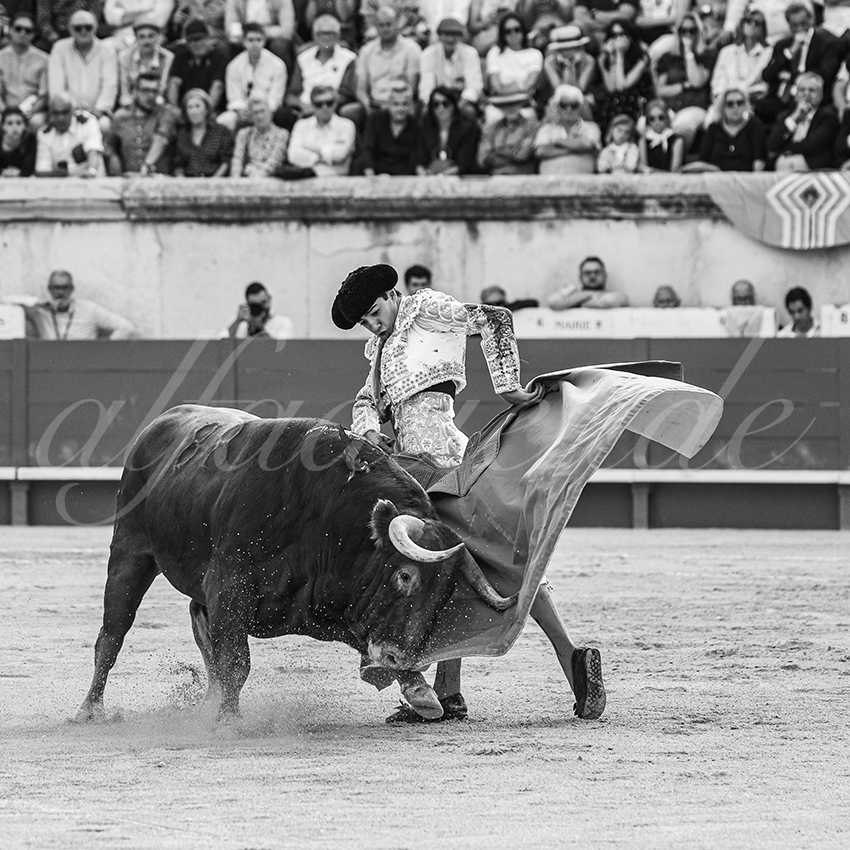 20250606 nimes 035 fd