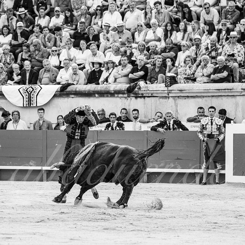 20250606 nimes cuadrillas 005 copie