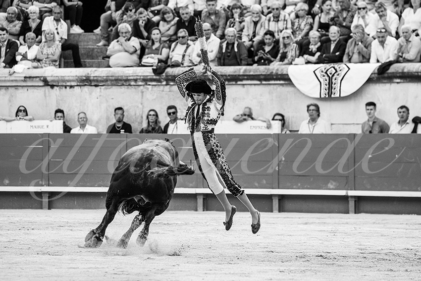 20250606 nimes cuadrillas 004 copie