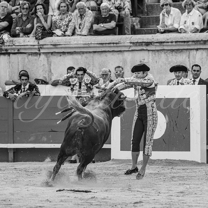 20250606 nimes cuadrillas 003 copie