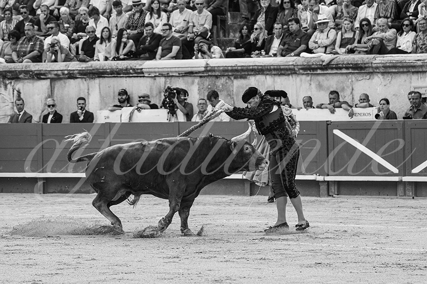 20250606 nimes cuadrillas 002 copie
