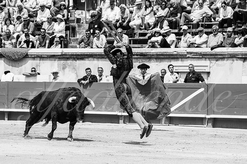 20250607 nimes nov cuadrillas 003 copie