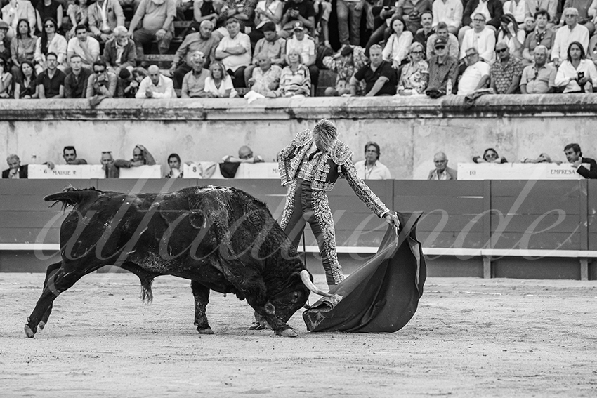 20250607 nimes 025