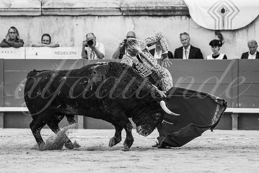 20250607 nimes 024