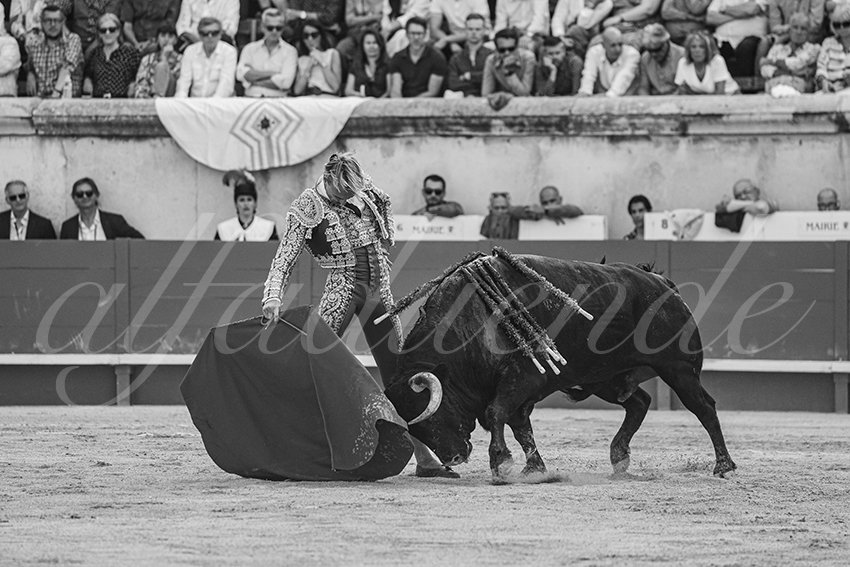 20250607 nimes 023