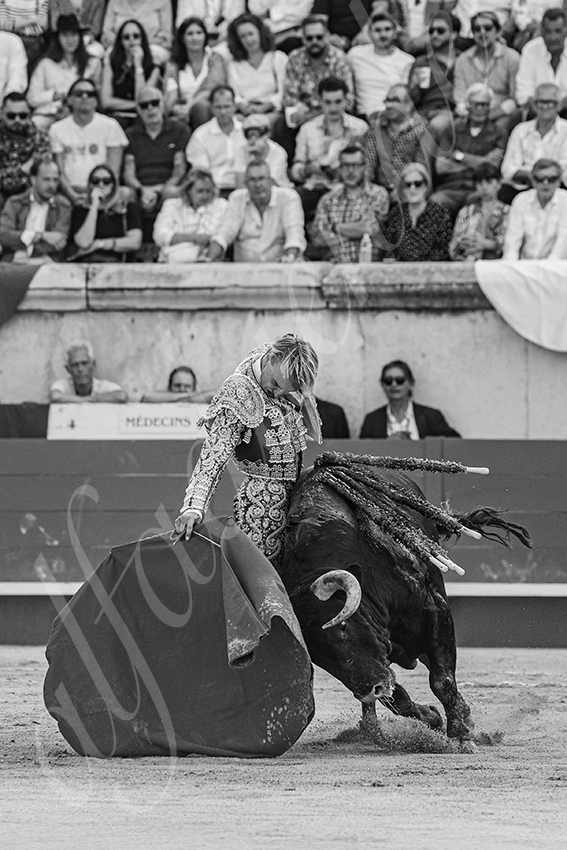 20250607 nimes 022