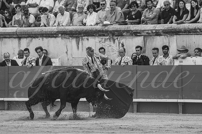 20250607 nimes 020