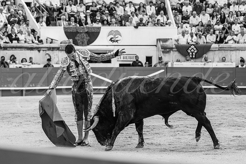 20250607 nimes 018