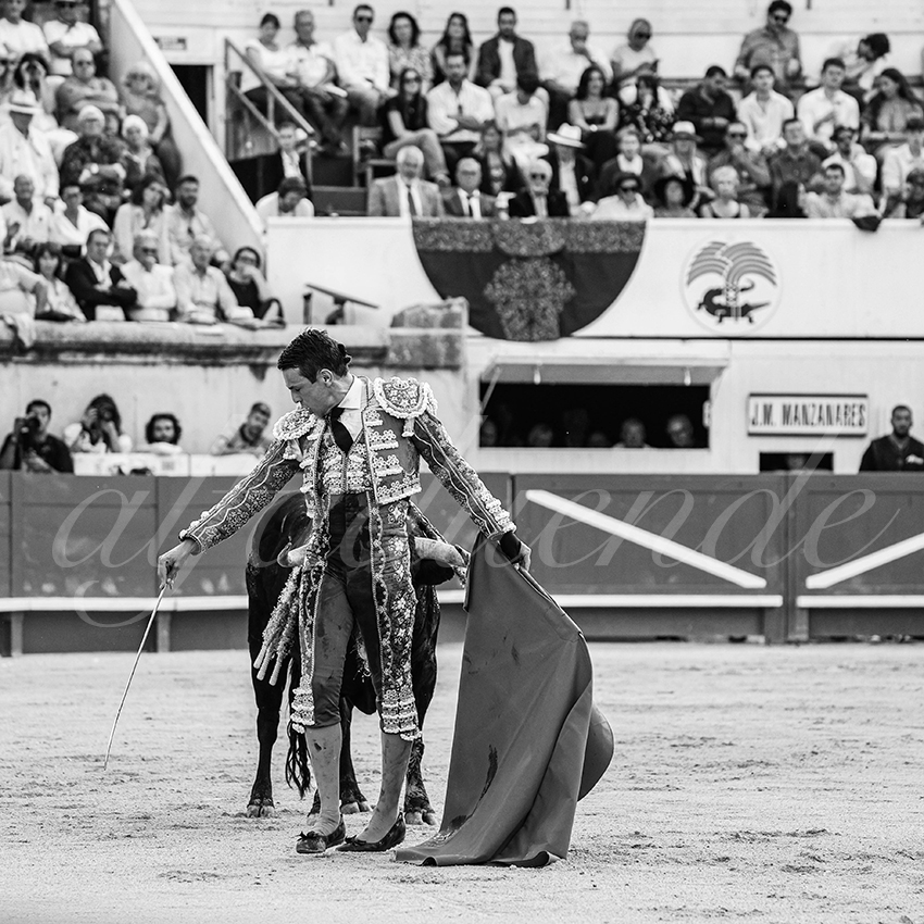 20250607 nimes 017
