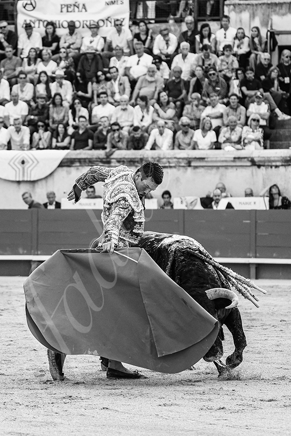 20250607 nimes 016