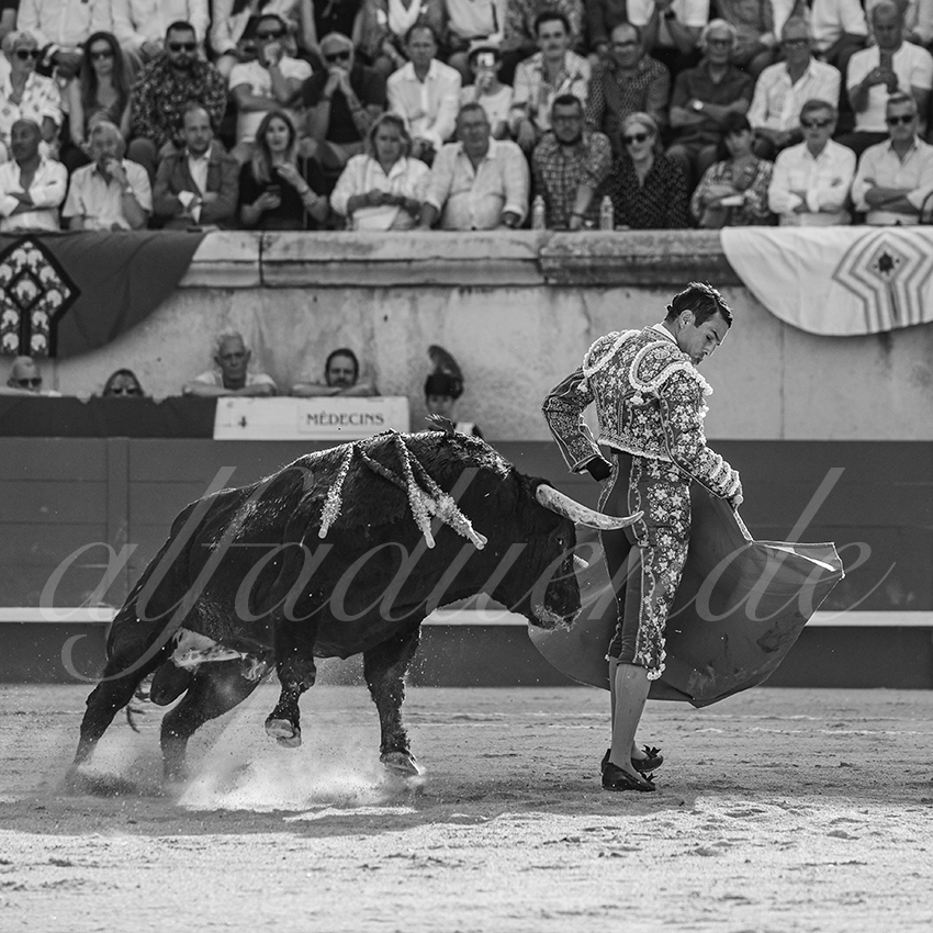 20250607 nimes 015