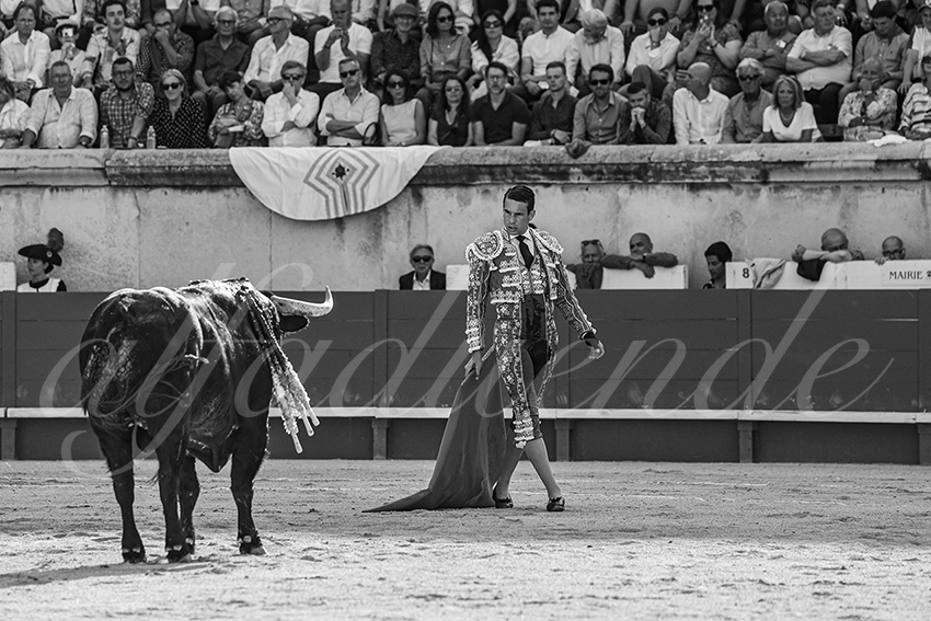 20250607 nimes 014
