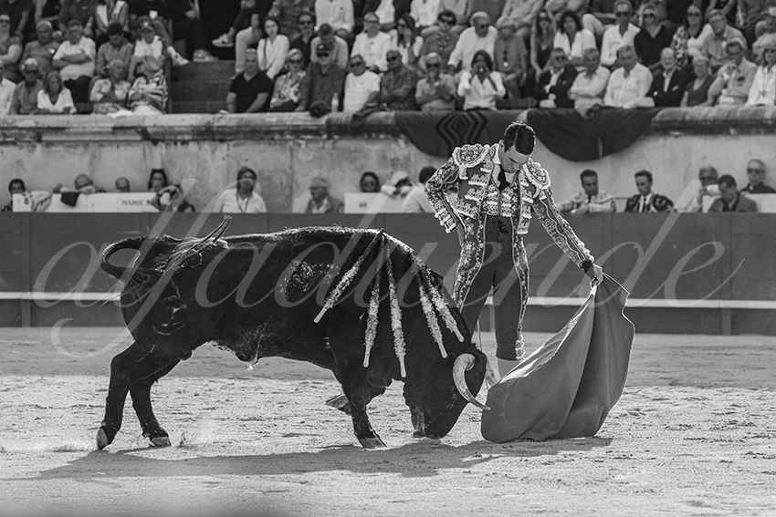 20250607 nimes 013