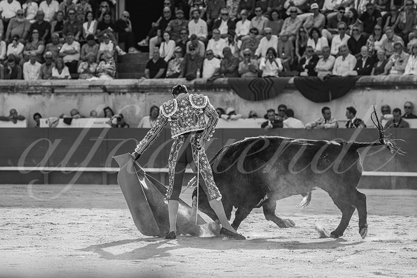 20250607 nimes 012