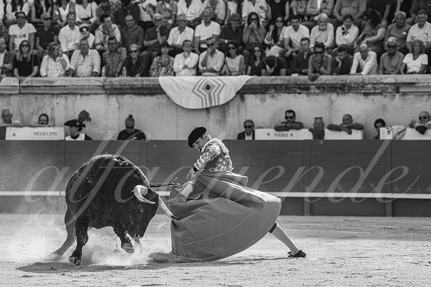 20250607 nimes 011