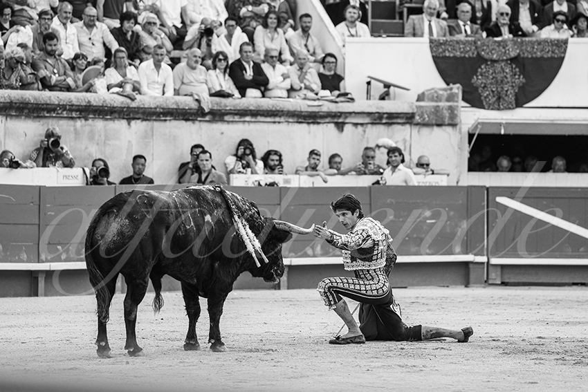 20250607 nimes 009