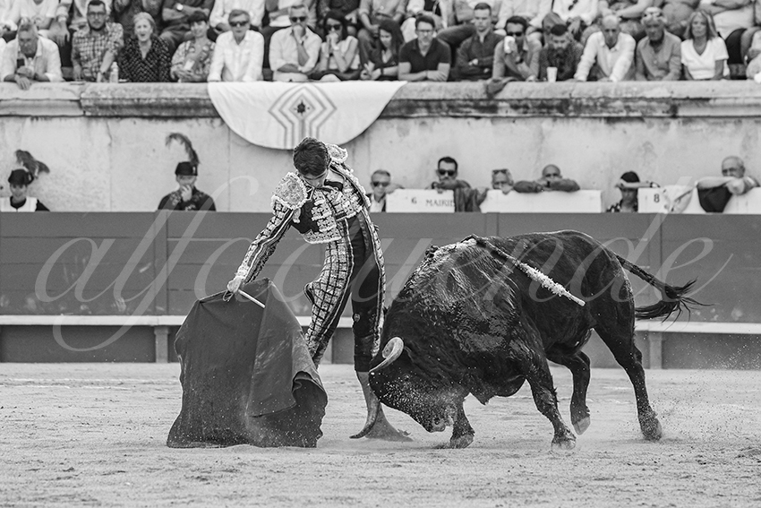20250607 nimes 008