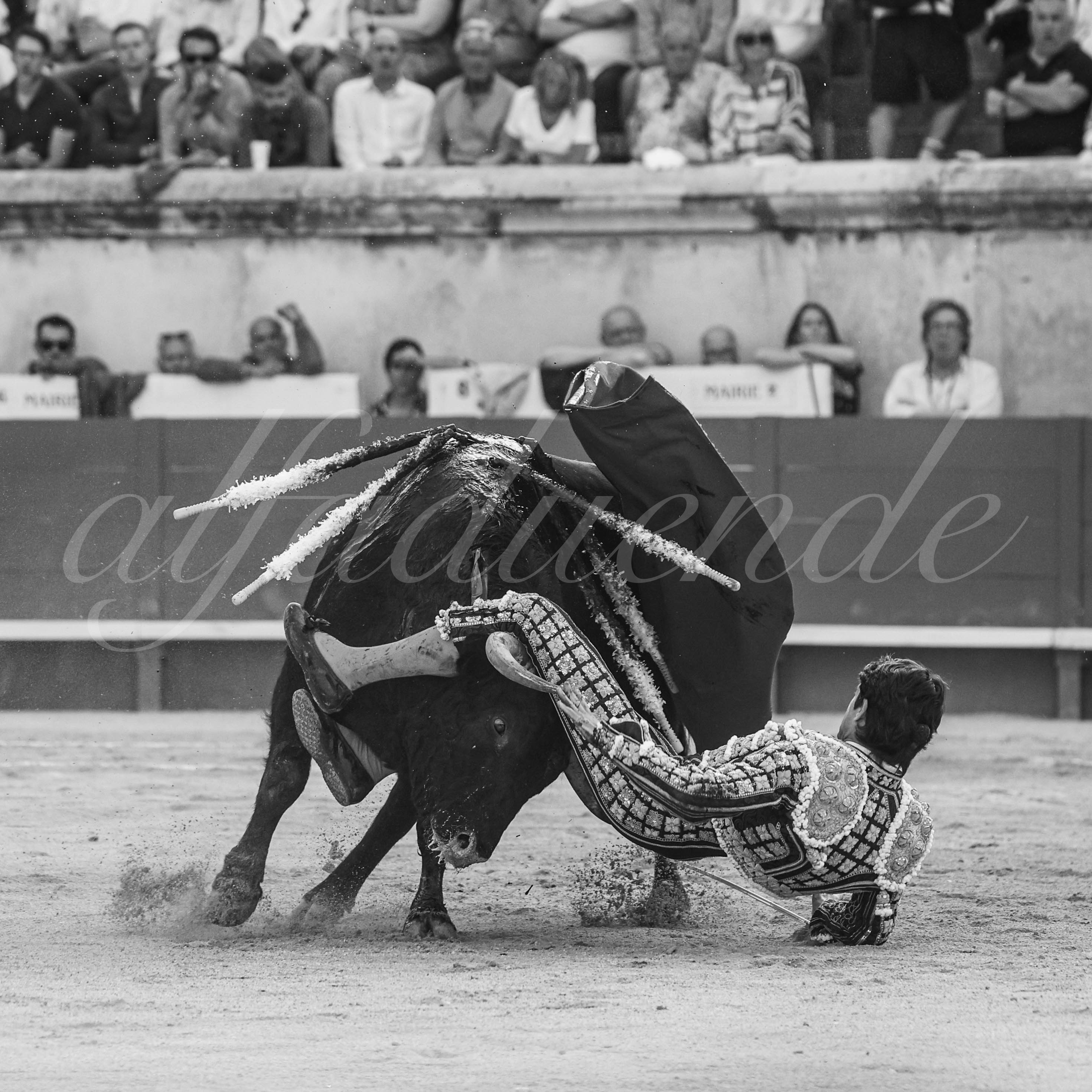 20250607 nimes 006
