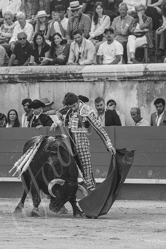 20250607 nimes 005