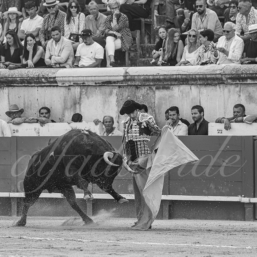 20250607 nimes 004