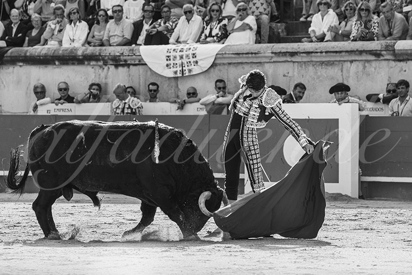 20250607 nimes 003
