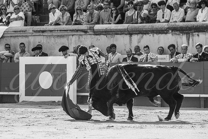 20250607 nimes 002