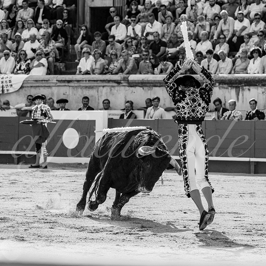 20250607 nimes cuadrillas 002 copie