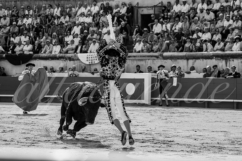 20250607 nimes cuadrillas 001 copie