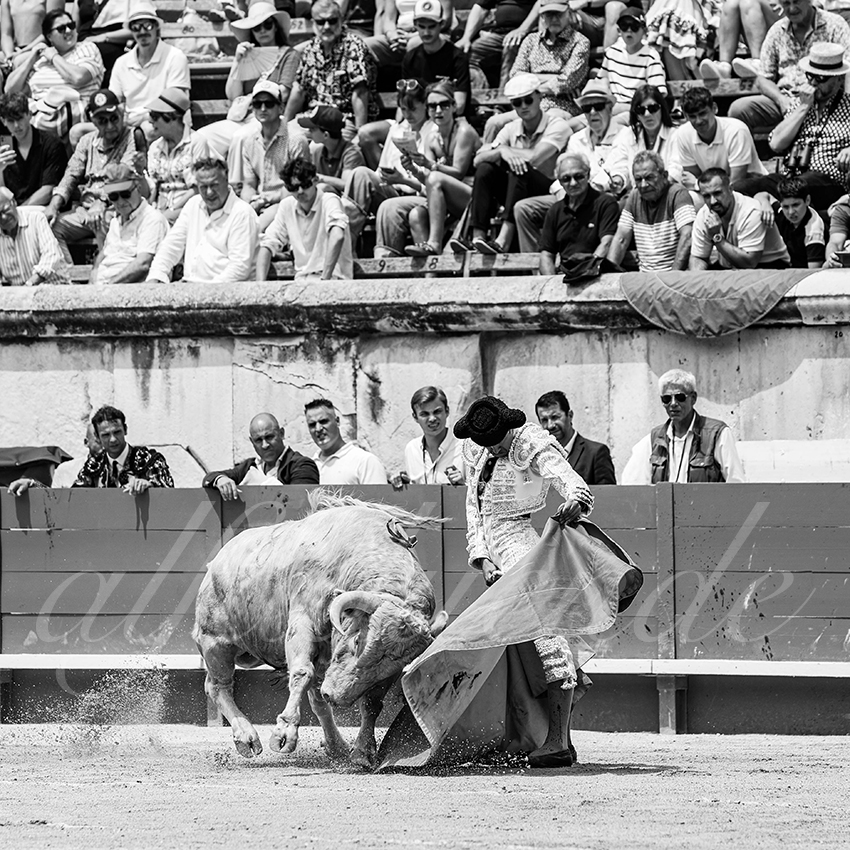 20250607 nimes nov 011